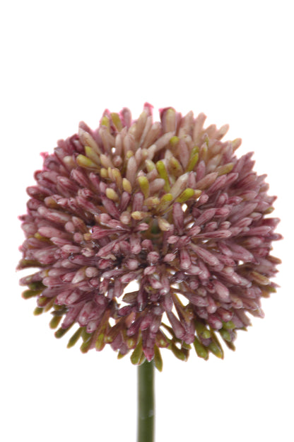 21.5" Allium Spray Violet