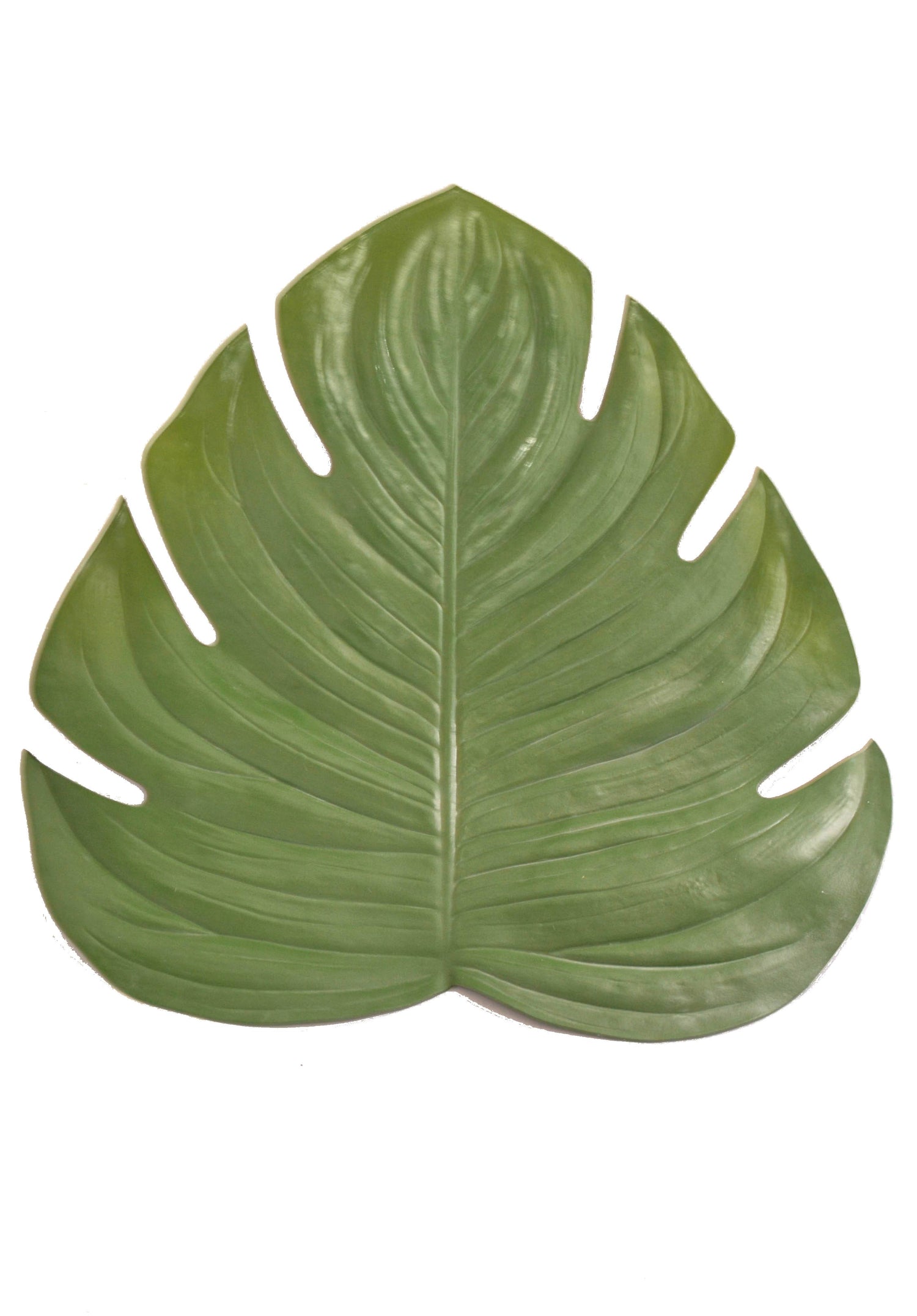 16.5" Monstera Placemat Green