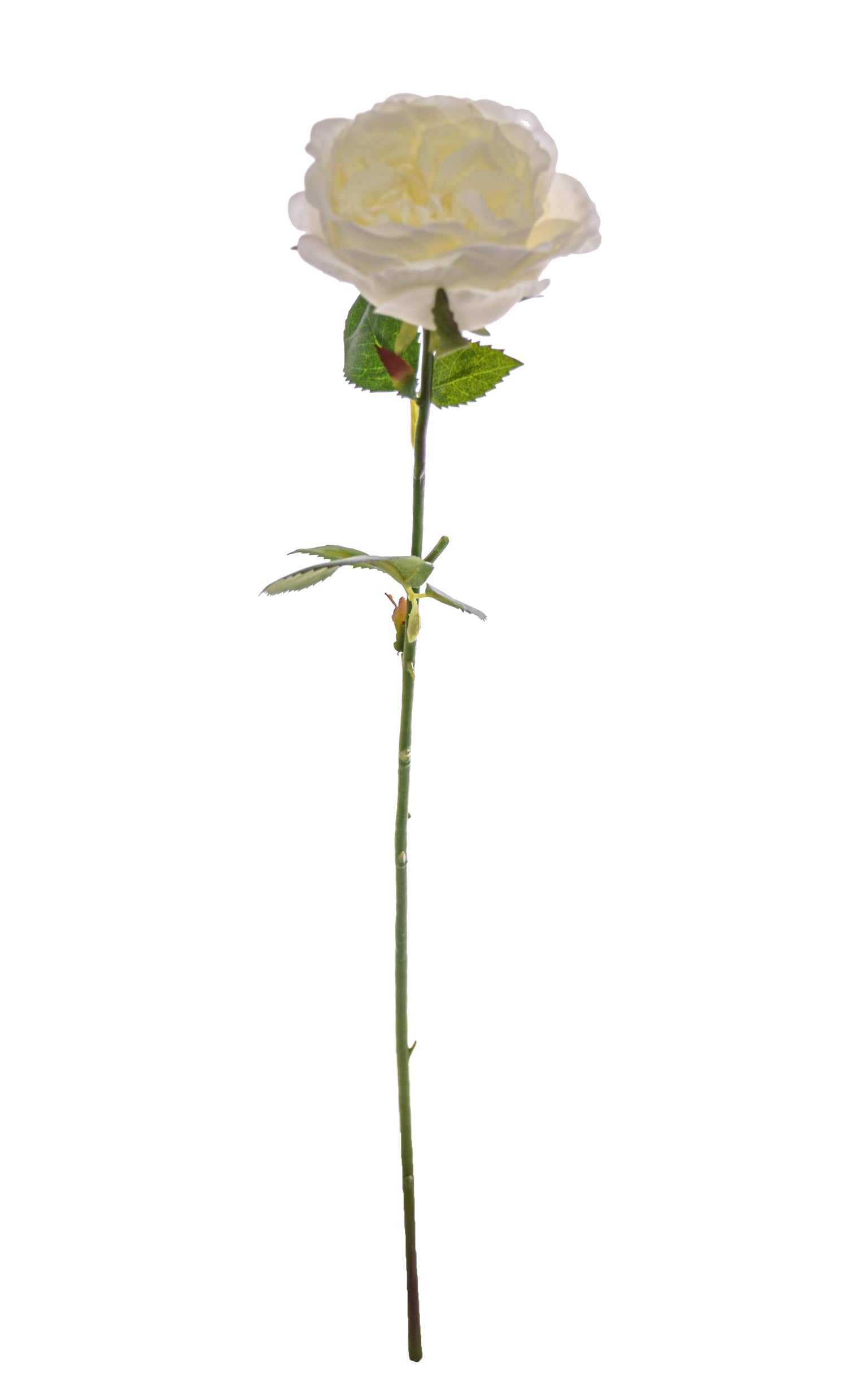 20.5" Rose Spray White