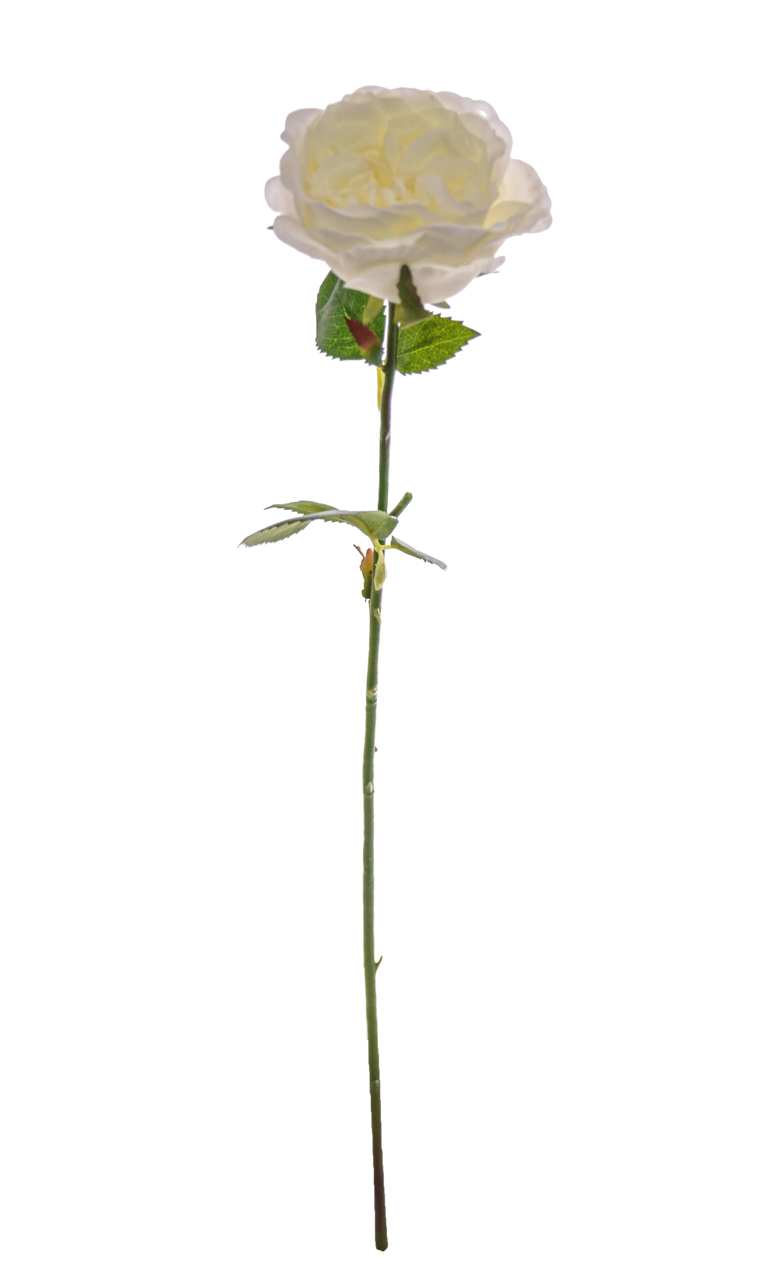 20.5" Rose Spray White