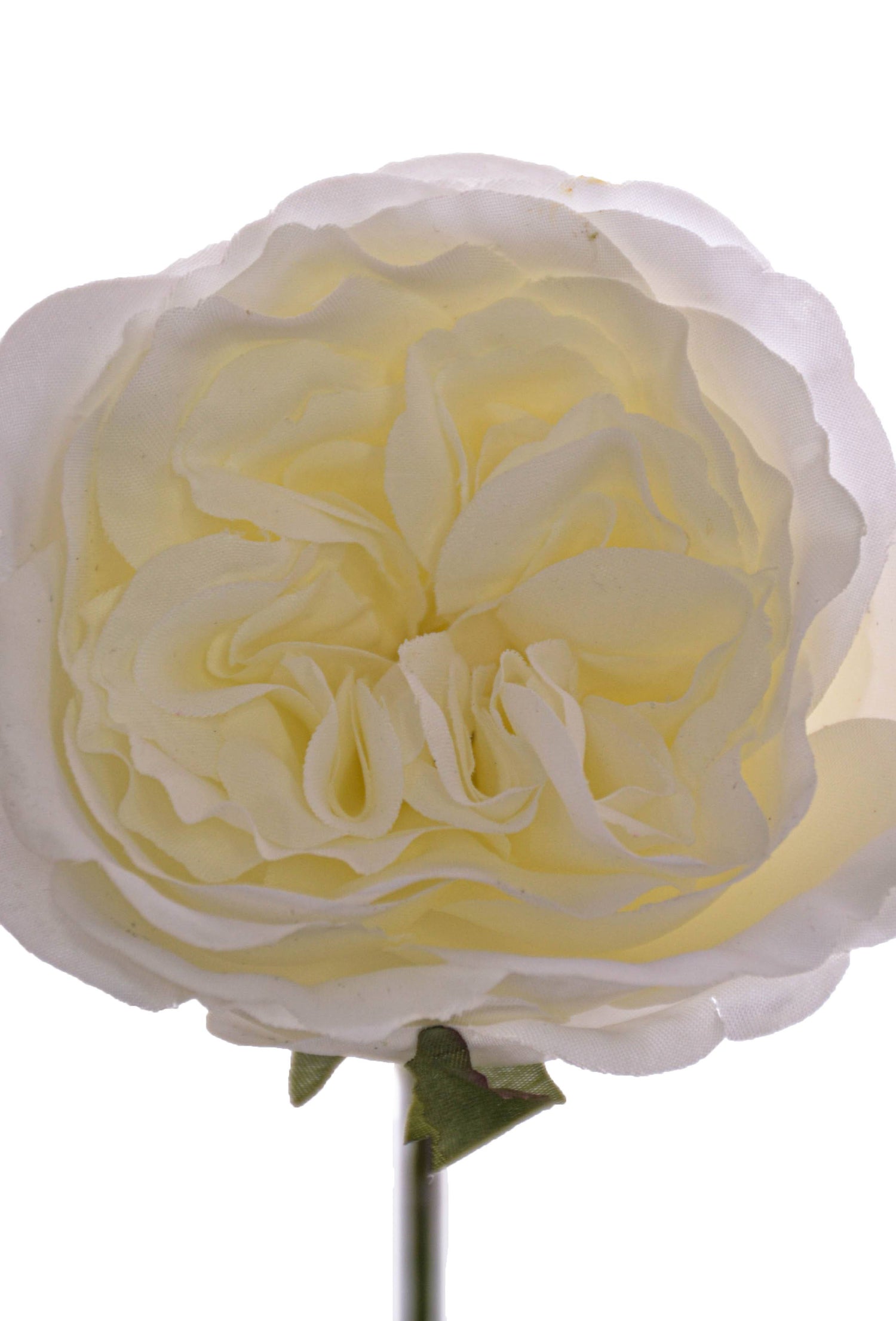 20.5" Rose Spray White