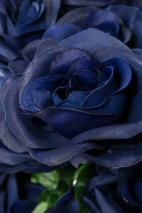 22" Silk Mirco Peach Rose Bush X18 Royal Blue