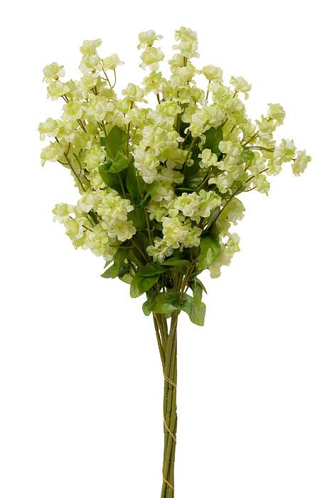 19" Double Baby Breath Cream/green Pkg/6
