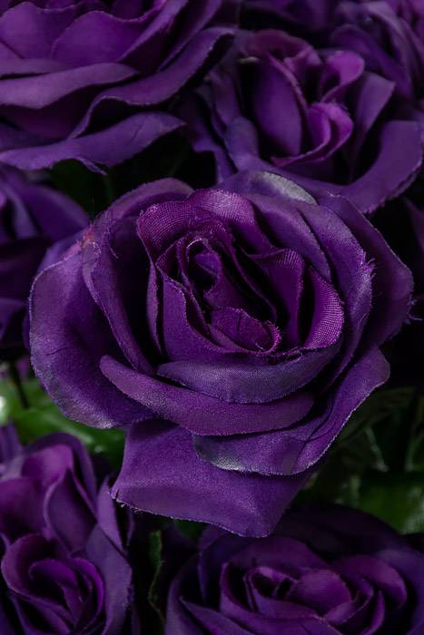 22" Silk Mirco Peach Rose Bush X18 Purple