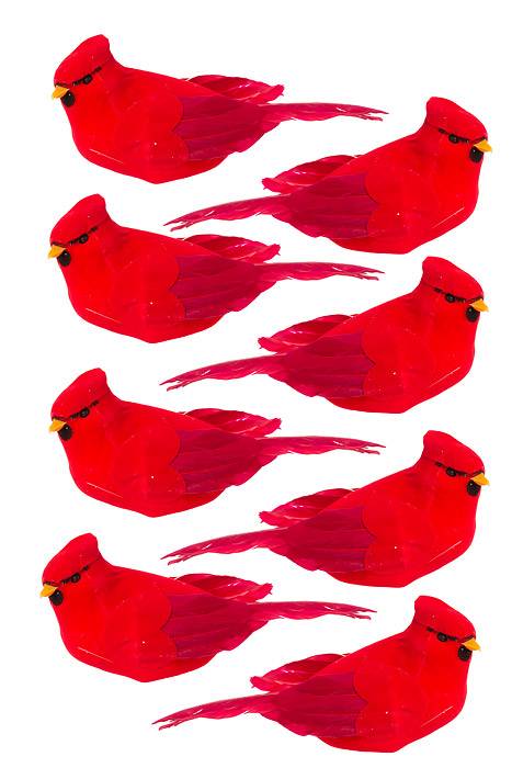 6" Cardinal Red Bx/8