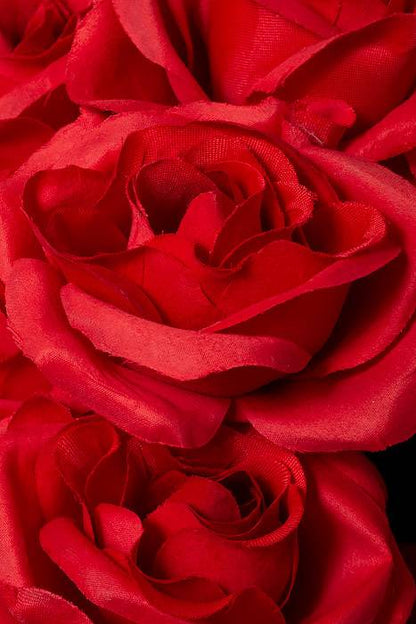 22" Silk Mirco Peach Rose Bush X18 Red