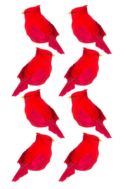 6" Cardinal Red Bx/8