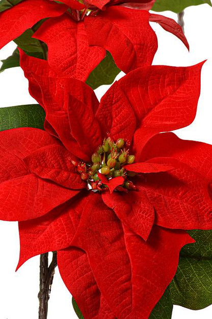 6Ft Velvet Poinsettia Garland Red