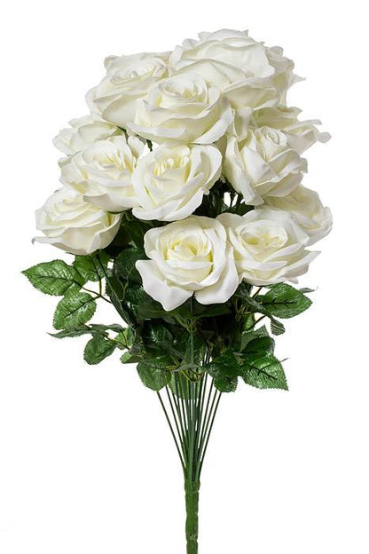 22" Silk Mirco Peach Rose Bush X18 Cream