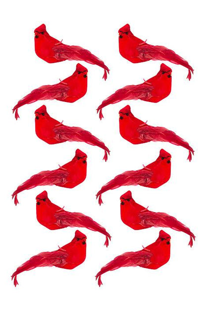 5" Cardinal Red Bx/12