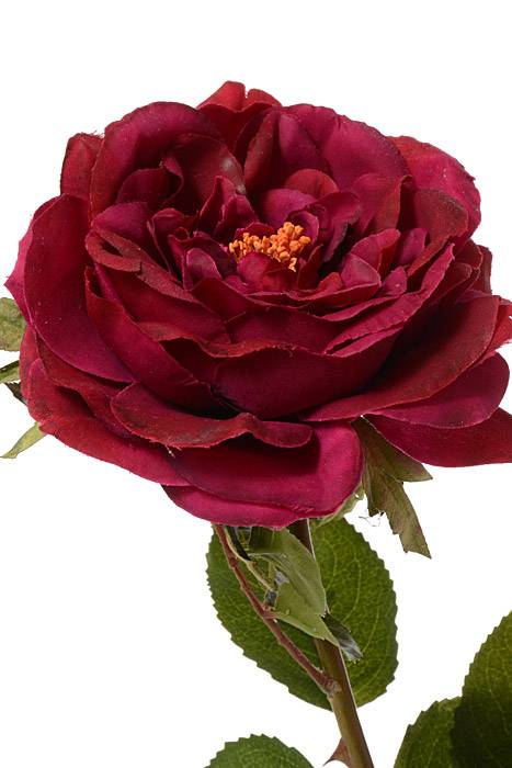 22" English Rose Spray Wine