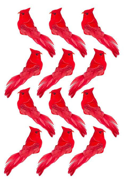 5" Cardinal Red Bx/12