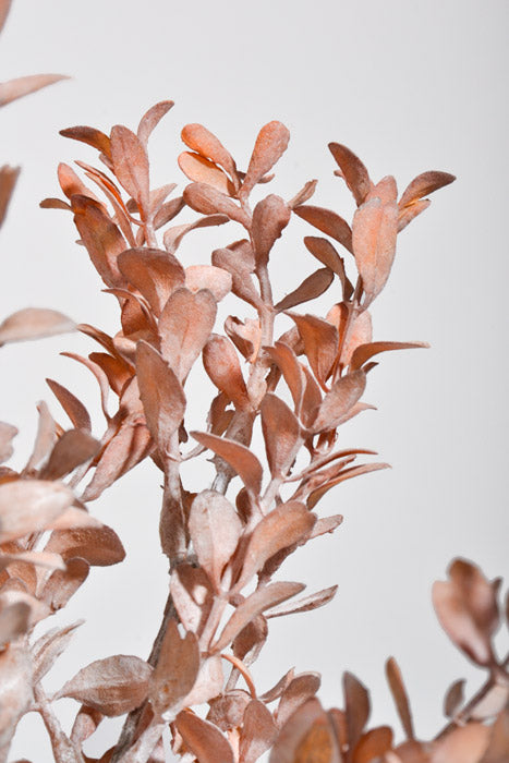 12" Artificial Boxwood Bush Rust