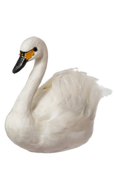12" Feather Swan White