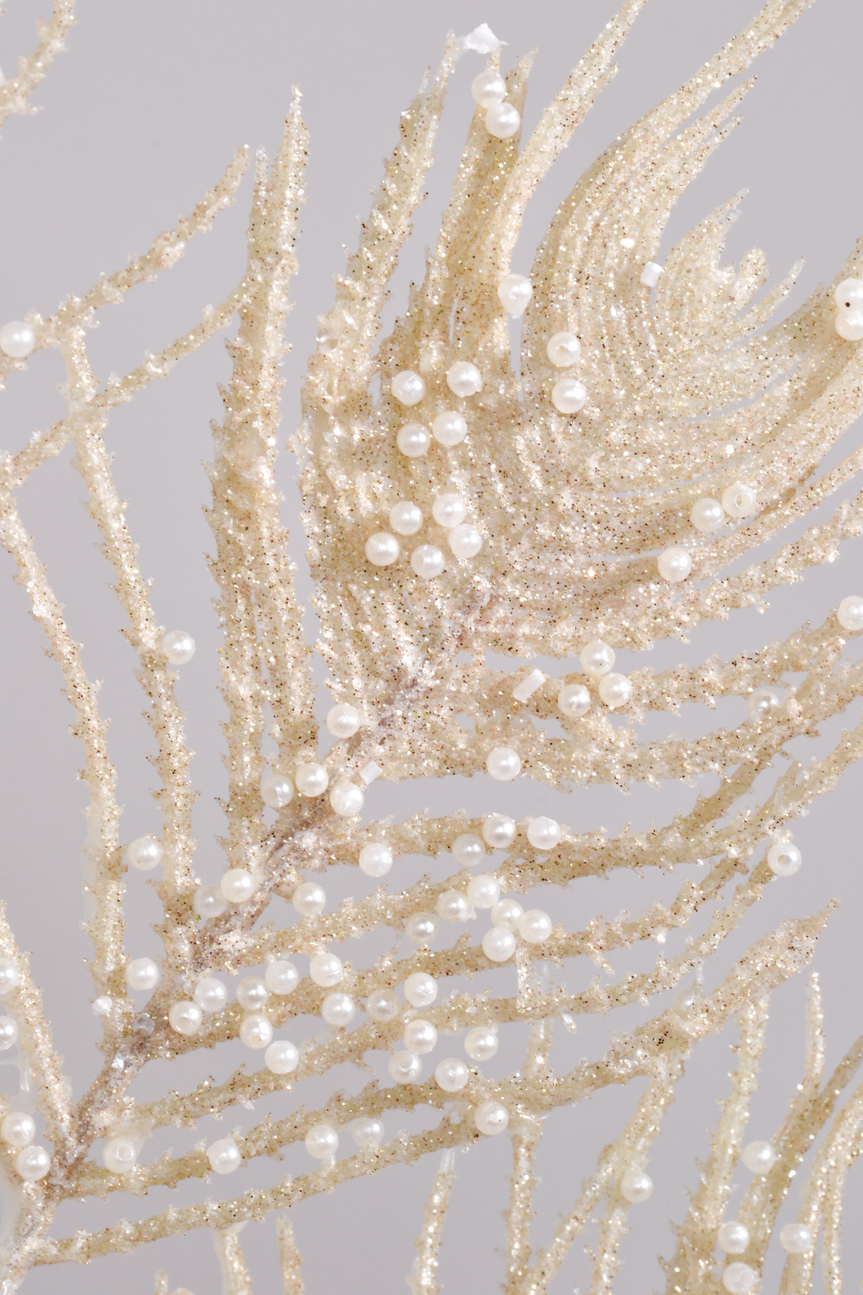 24" Pearl Coral Fan Spray Pearl/White