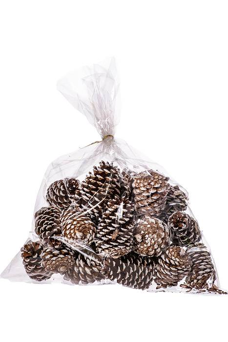 3 - 4"  Medium Pine Cones