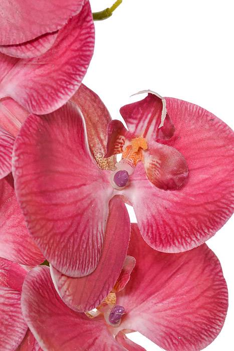40" Silk Phalaenopsis Spray Violet
