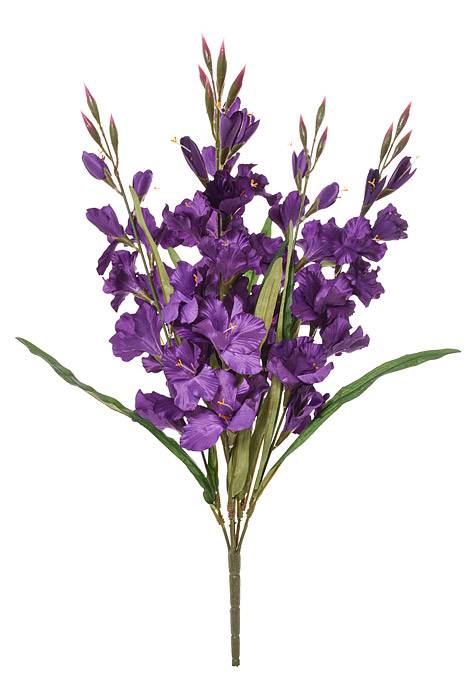 30" Satin Gladiolus Bush Purple