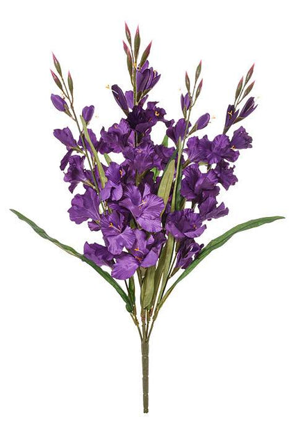 30" Satin Gladiolus Bush Purple