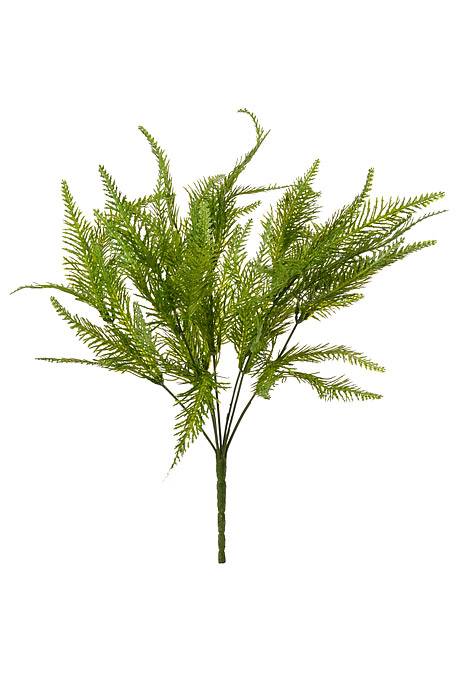 20" Australia Fern Bush Green