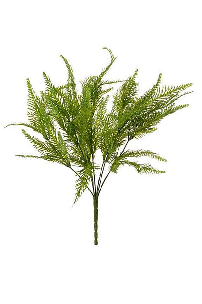 20" Australia Fern Bush Green