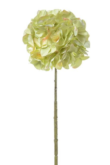 21" Silk Hydrangea Spray Light Green