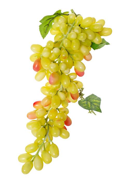 17" Round Grape Cluster Yellow