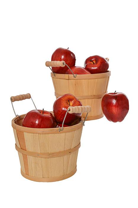 3.5" Delicious Apple Red Pkg/12