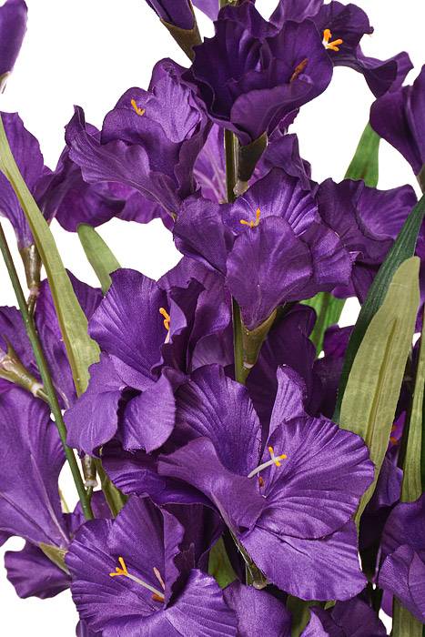 30" Satin Gladiolus Bush Purple