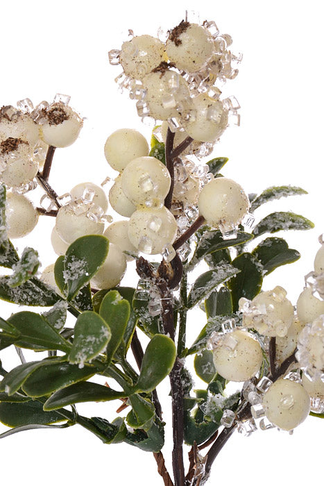 8" Iced Berry Boxwood Pick Frosted White