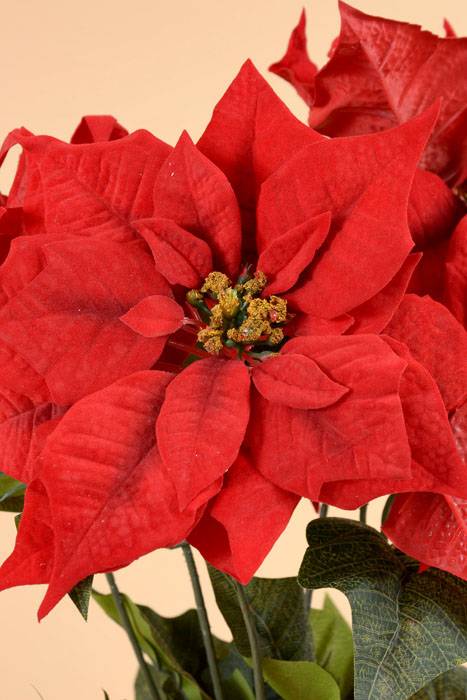 22" Velvet Poinsettia Bush (Red)