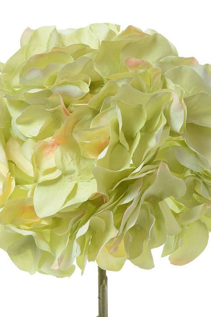 21" Silk Hydrangea Spray Light Green