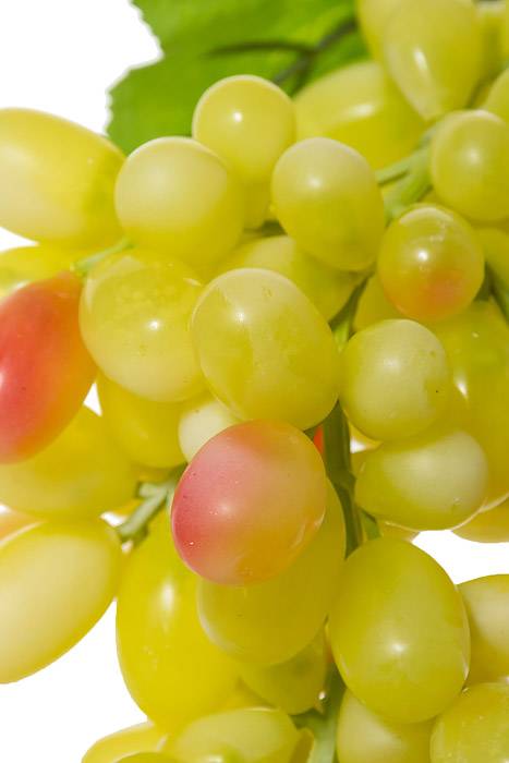 17" Round Grape Cluster Yellow