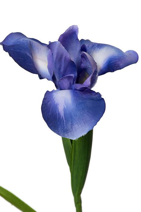29.5" Silk Iris Spray Helio