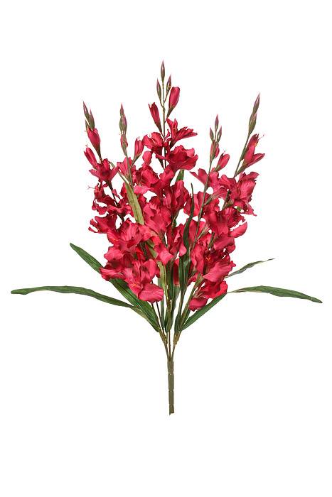 30" Satin Gladiolus Bush Beauty