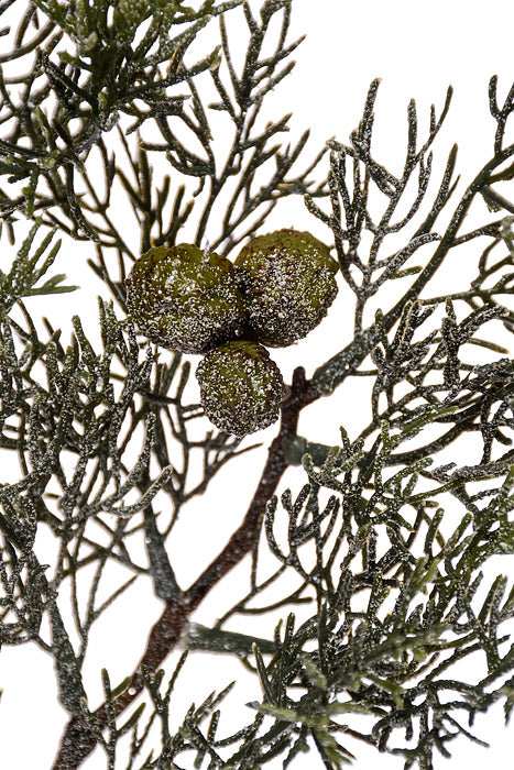 31" Frosted Cedar Spray Green