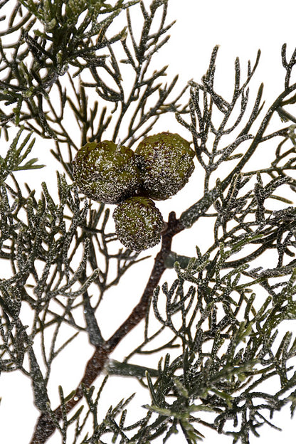 31" Frosted Cedar Spray Green