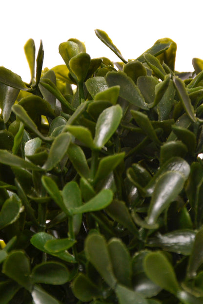 7" Boxwood Ball Green