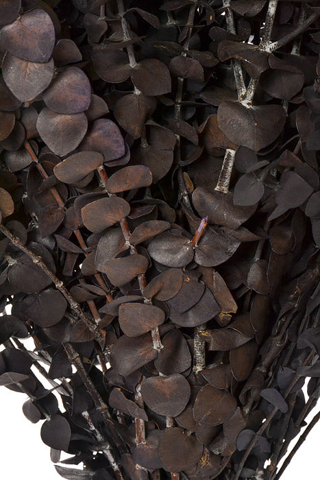 Eucalyptus Baby-Washed Purple