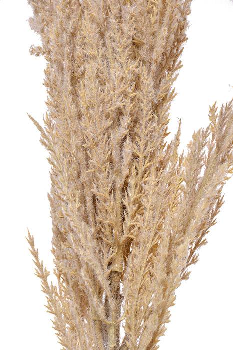 46" Pampas Grass Spray Cream