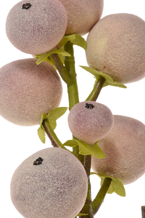 27" Pod Spray Purple/Green