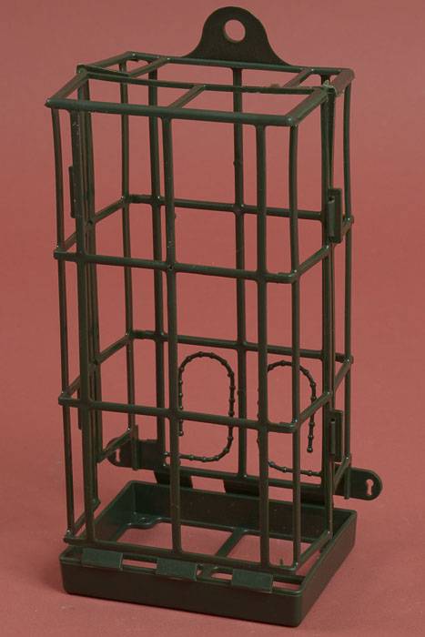 3.25&quot; X 4.5&quot; X 9.25&quot; Foam Mate Plastic Cage Green