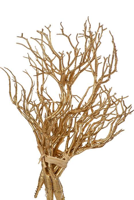 14" Manzanita Pick Gold Pkg/6