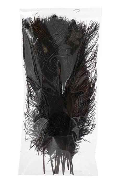 14 - 16" Ostra Feather Black Pkg/12