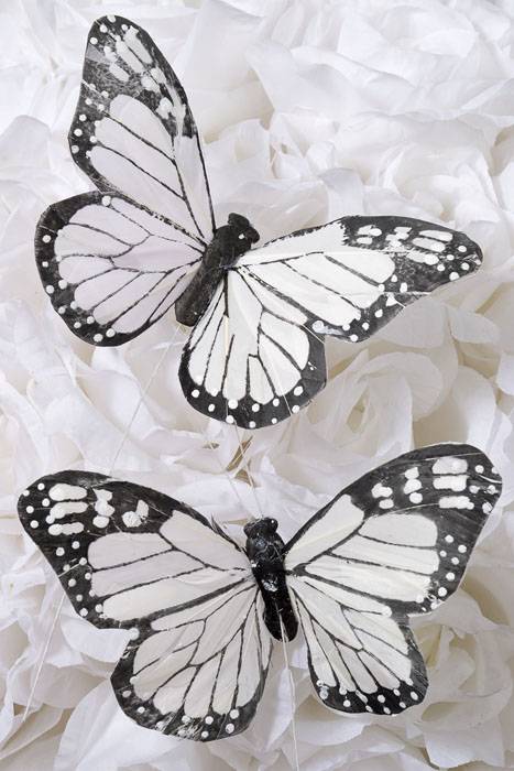 5&quot; Decorative Feather Butterfly Black/white Pkg/12