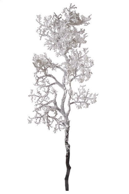 45" Snowed Branch White