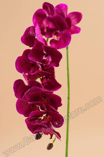 41" Phalaenopsis Spray Purple