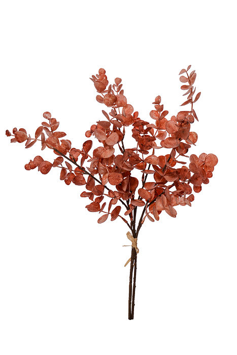 19" Eucalyptus Bundle Coral