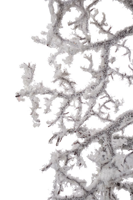45" Snowed Branch White