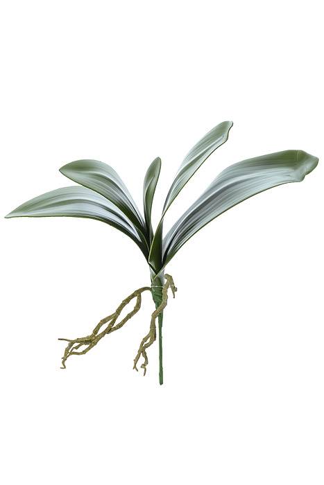 14" Phalaenopsis Leaf Cluster Green